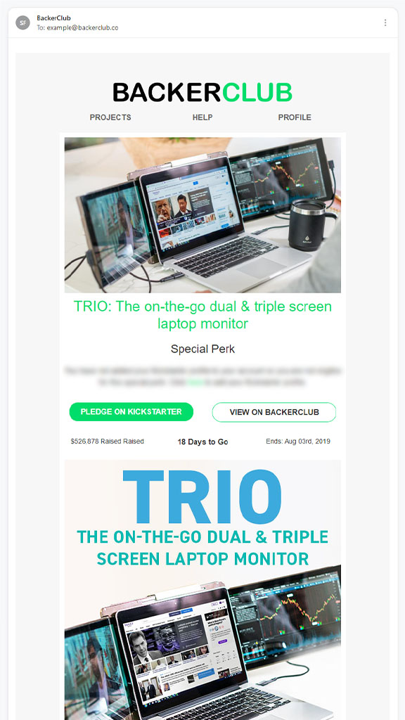 Dedicated Newsletter Email Blast Example