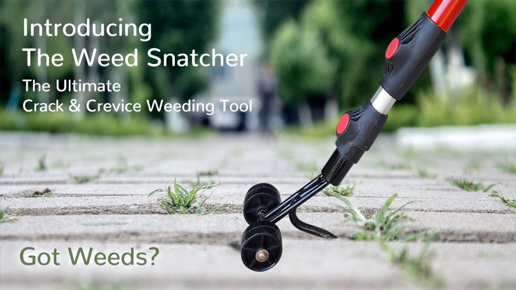 Weed Snatcher, The Ultimate Crack & Crevice Weeding Tool